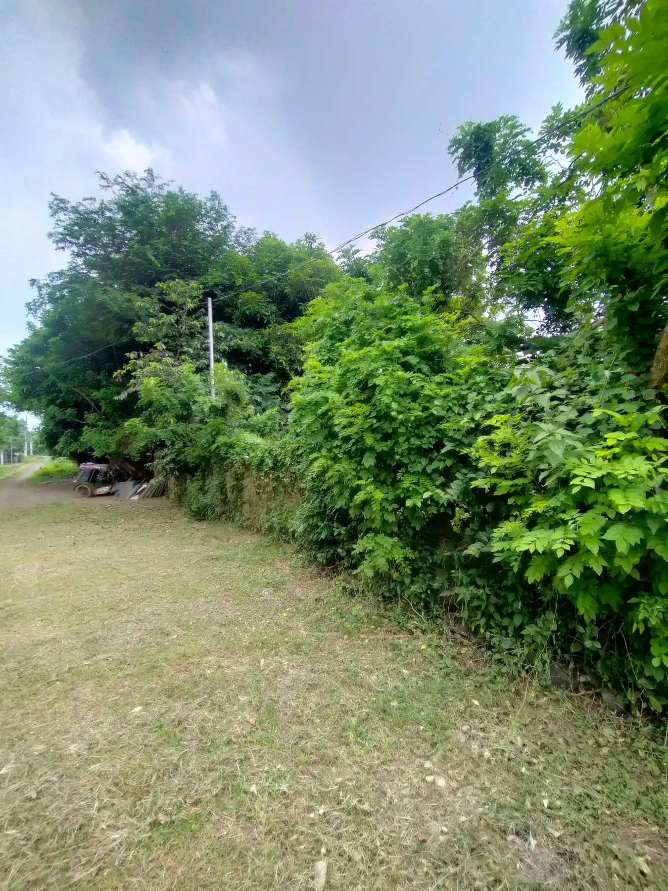 Property 4